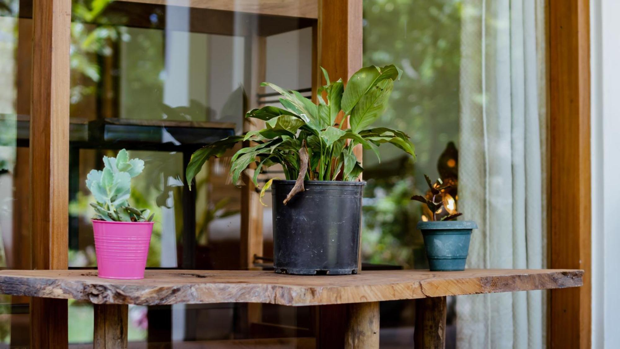 Haradali'S Home アルーシャ エクステリア 写真